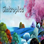 Sintropica logo