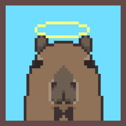 Capy Client logo