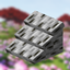 [DISCONTINUED] Macaw's Roofs - Oh The Biomes You'll Go / Oh The Biomes We've Gone logo