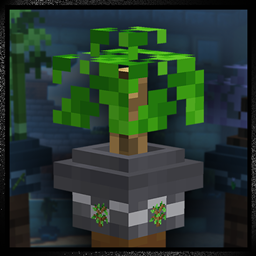 Bonsai Pots project image