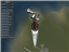 Throttle Controlled Avionics [1.4] logo
