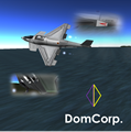 DomCorp Jets