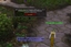 Guild MOTD logo