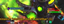 LOIHInterrupt logo