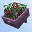 Premium Crates logo