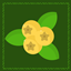 Golden Berries logo