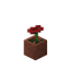 Biome Bash logo