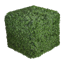 Shrubcraft logo