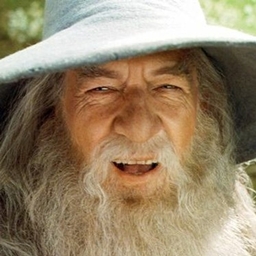 Gandalf villagers project image