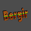 Borgir logo