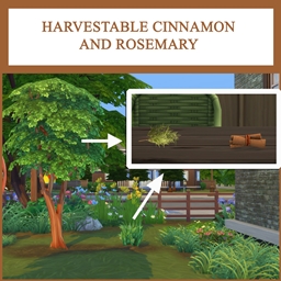 HARVESTABLE CINNAMON AND ROSEMARY