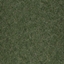 Team Chakal logo