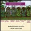 HARVESTABLE GRAPES – 6 VARIETIES logo