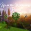 The Life in the Wilderness - Rebirth logo