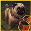 PetPet logo