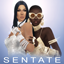Sentate - Spring/Summer 19 Accessory Redux logo