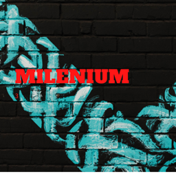 milenium project image