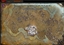 TreasuresOfWoW logo