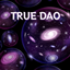 TrueDao logo