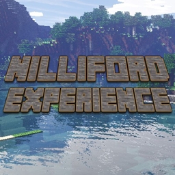 Nilliford Experience logo