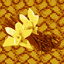 Less Vaneela More Beans logo