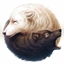 The adventure of the Pack logo