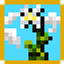 Kaas Crops logo