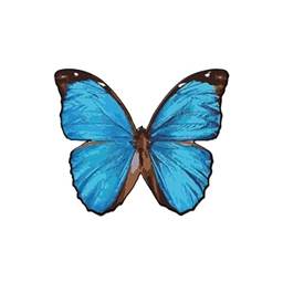 Blucraft