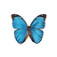 Blucraft logo