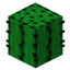 Rattes Cactus Everyting logo