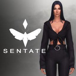 Colette Top (2 Versions)