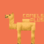 Camels+ logo