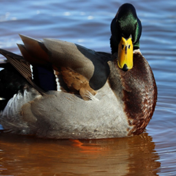 DucksGaming project image