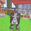 Shua_SMP logo