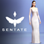 Jessie Dress - Sentate x Joliebean x H.F.O Collaboration