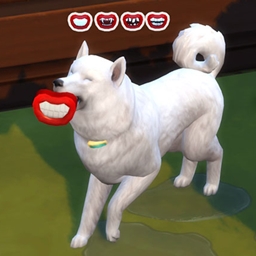 Smile! Dog Toy