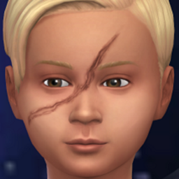 Scars 4 Children logo