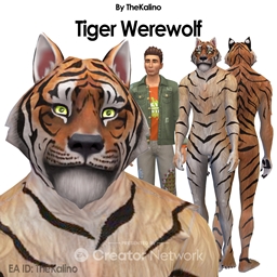 Tiger Werewolf