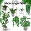 Urban Jungle Plants logo