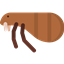 Pulgamod Reborn logo