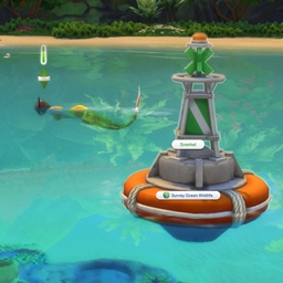 Mermaids Can Snorkel
