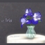 set Iris logo