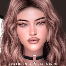 Make-up and Presets Set logo