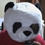 AdiBags Bears Hearthstones logo