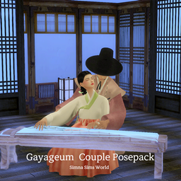 Gayageum(Korean Instrument)  Playing Couple