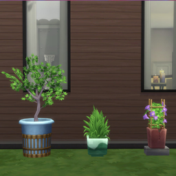 Amy's Garden Plants (Separated)