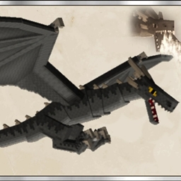 Dragons, Biomes, and Cities logo