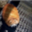 BreadCatCraft logo