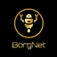 BorgNet logo
