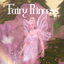 Fairy Princess Set logo